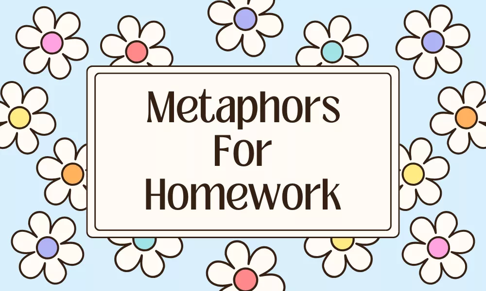Homework Metaphors