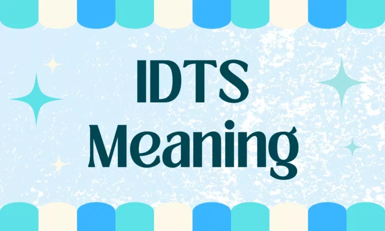IDTS Meaning