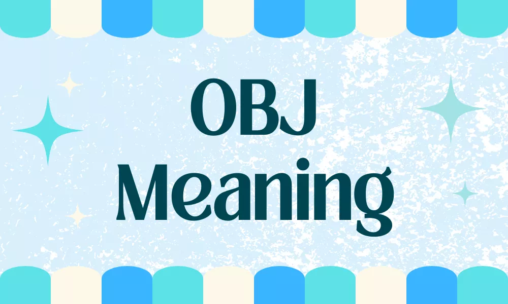 OBJ Meaning in Text, Gaming, Chat & Online Slang Explained 1 OBJ Meaning
