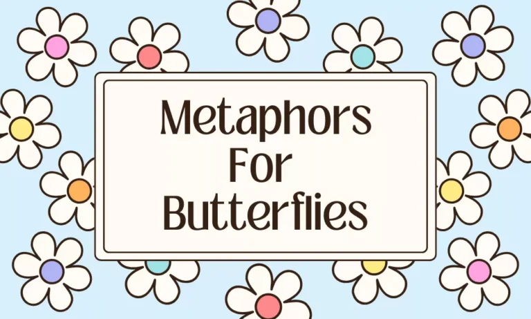 Butterfly Metaphors