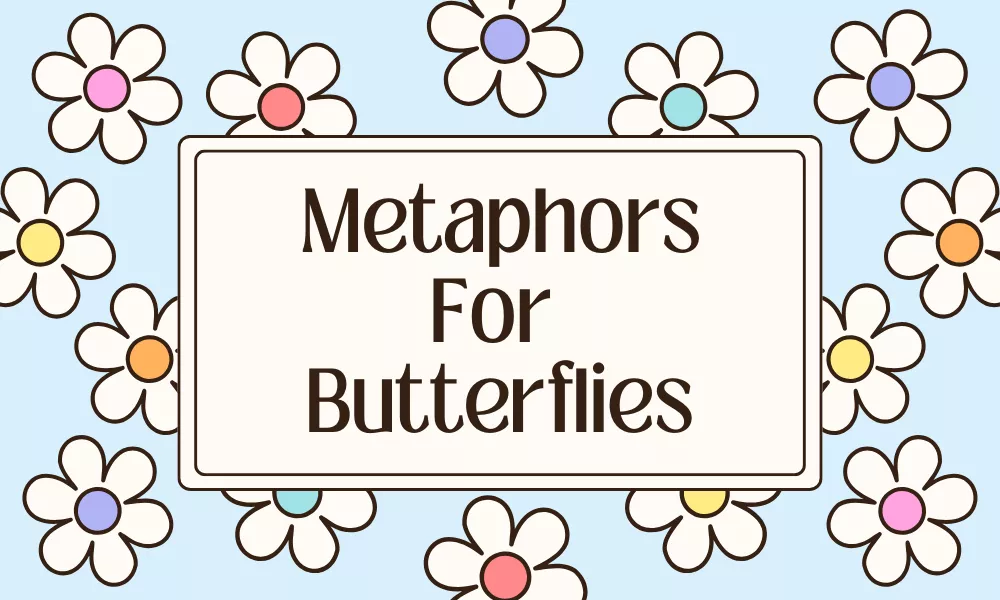 Butterfly Metaphors