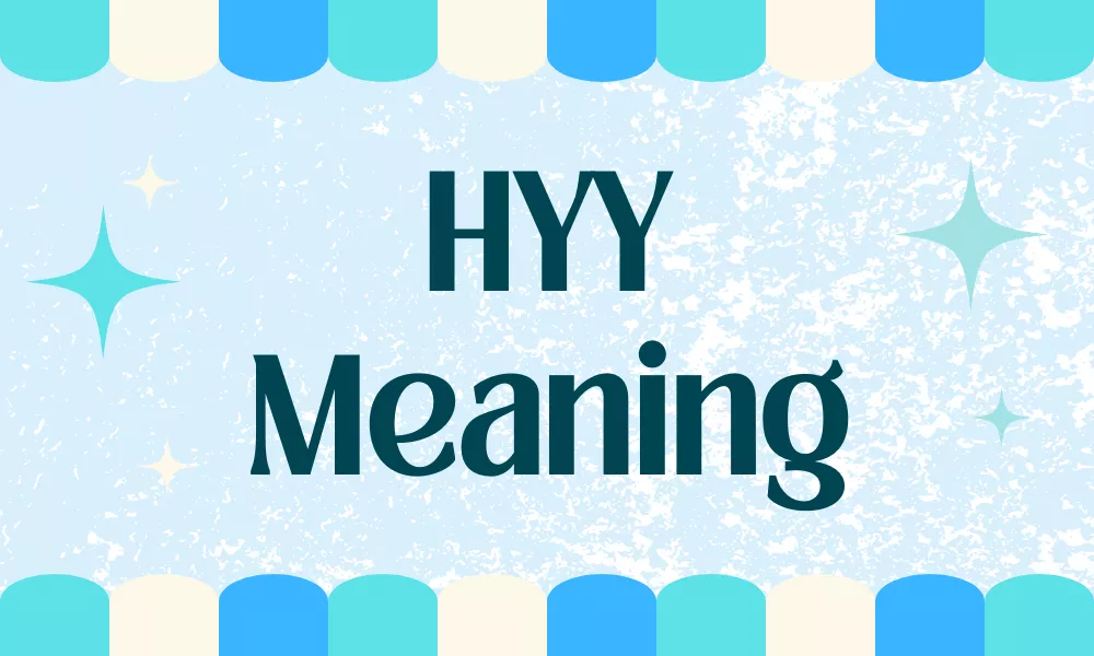 HYY Meaning in Text: What HYY Means in Chat & Social Media 1 HYY Meaning