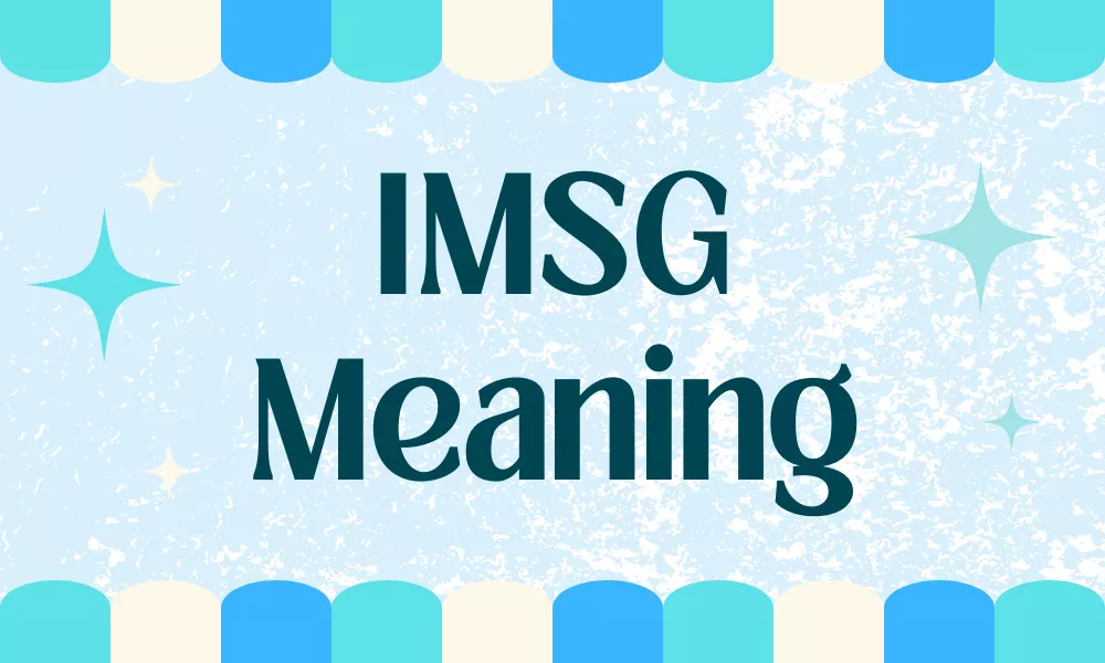 IMSG Meaning