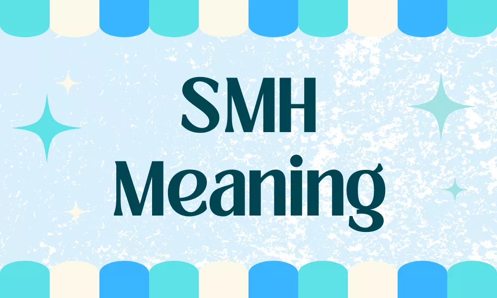 SMH Meaning: What Does SMH Stand for in Text and Chat 11 SMH Meaning