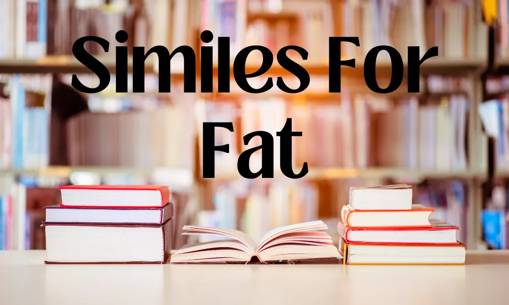 Similes For Fat