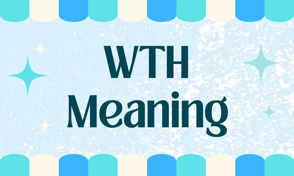 WTH Meaning