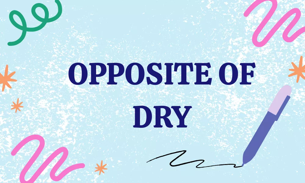 Opposite of Dry: Antonyms, Meanings & Examples 8 Dry Antonyms