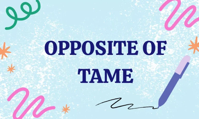 Opposite of Tame: Antonyms with Meanings & Examples 5 Tame Antonyms