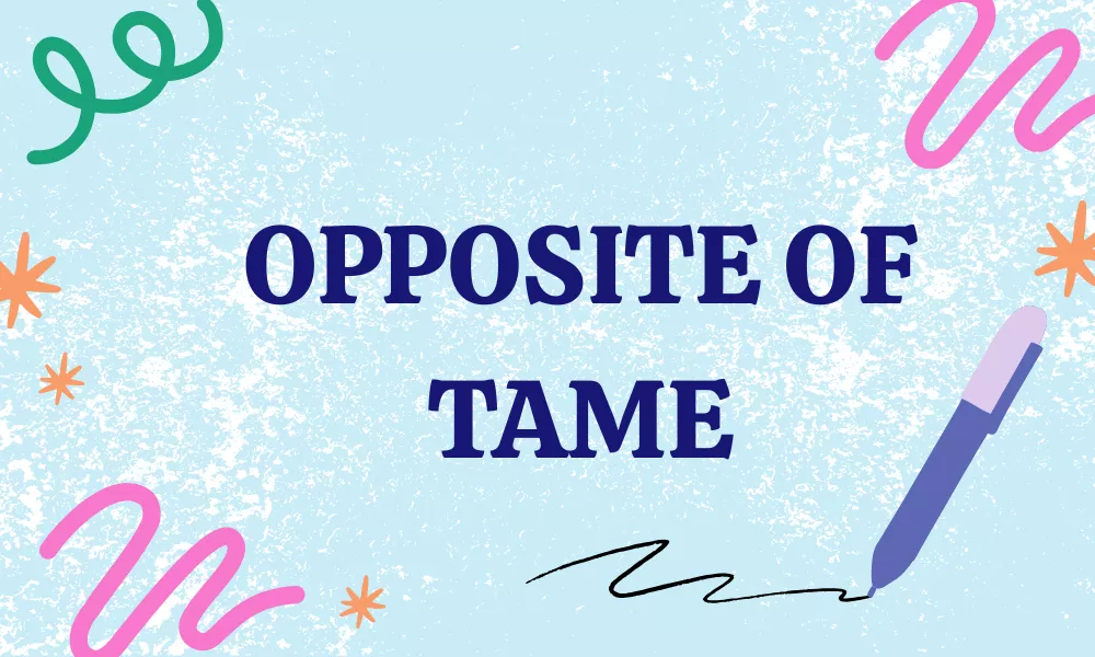 Opposite of Tame: Antonyms with Meanings & Examples 7 Tame Antonyms